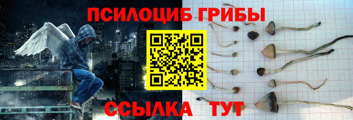 Галлюциногенные грибы ЛСД  Вход с VPN  Усть-Илимск  Псилоцибиновые грибы Psilocybine cubensis 